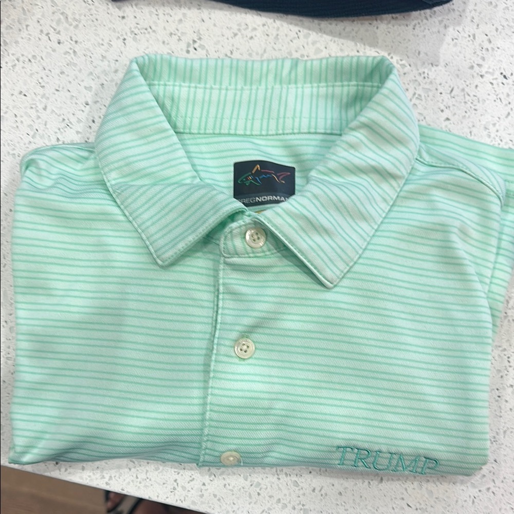 Greg Norman Collection Men's Green Striped Shirt